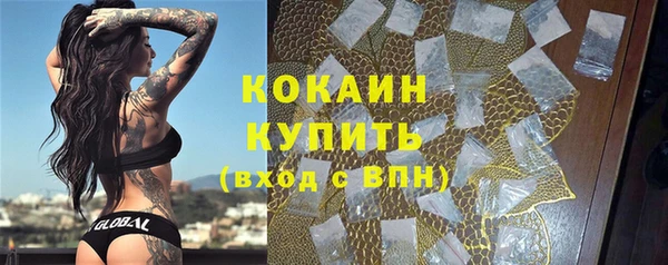 PSILOCYBIN Горно-Алтайск