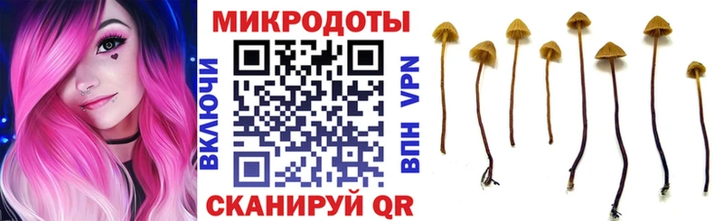 Галлюциногенные грибы ЛСД  блэк спрут зеркало  Кудымкар 