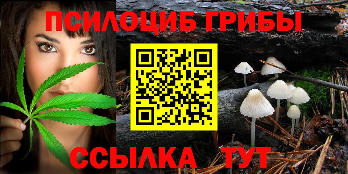 Галлюциногенные грибы Magic Shrooms  Вход с VPN  наркошоп  Кудымкар  Галлюциногенные грибы мицелий 